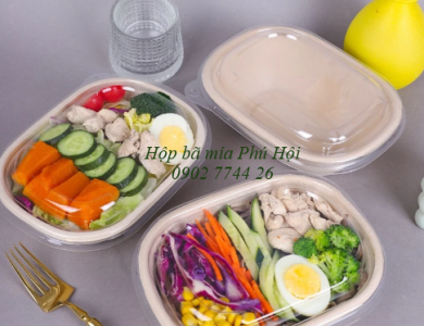 Hộp bã mía 1 ngăn to nắp nhựa PET 850ml